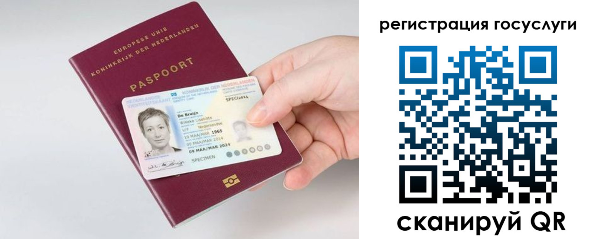 регистрация для дет. сада в Белой Холунице